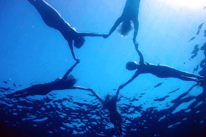 a flock of seagulls are swimming in the water