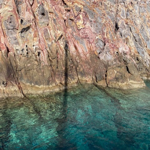 a group of people standing next to a tree